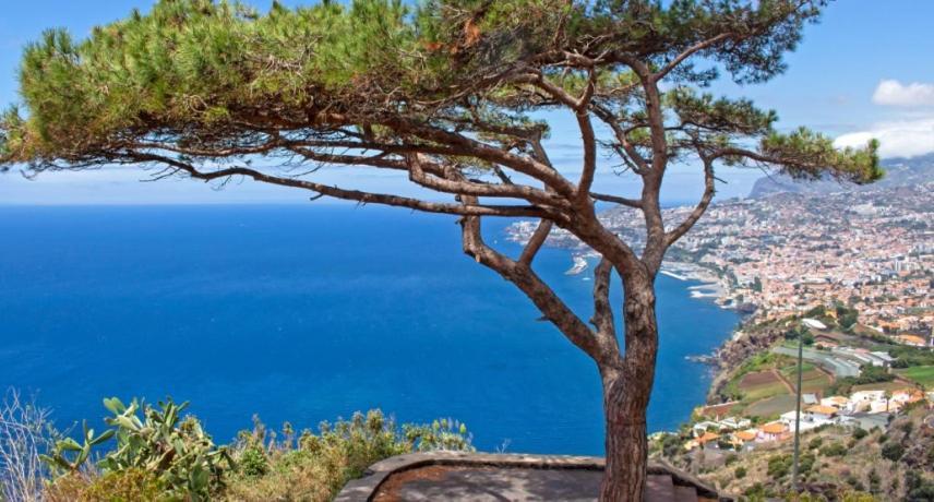 Berco Funchal Villa Bagian luar foto